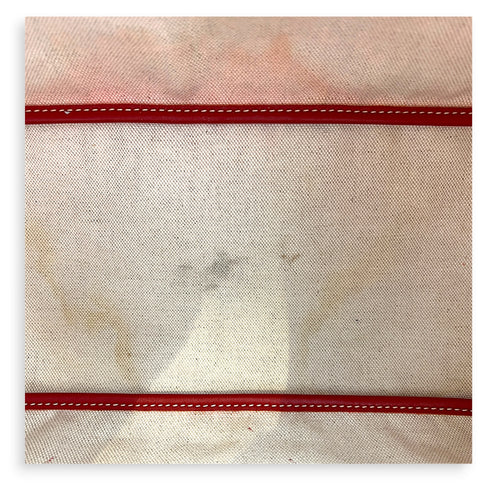 Saint Louis PM Red Tote Bag in Coated Canvas, Silver hardware