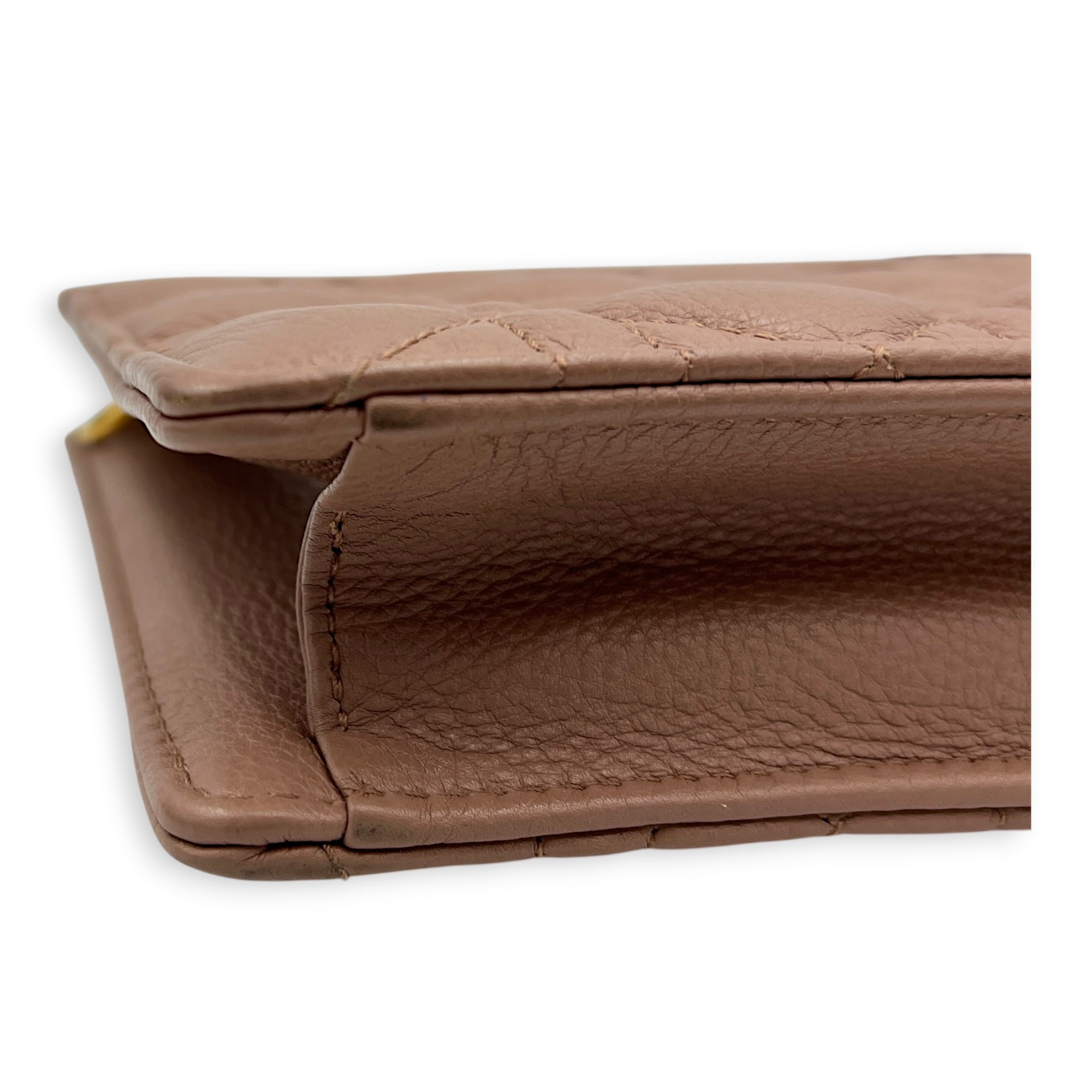 Caro Wallet On Chain Pink in Calfskin, Gold hardware