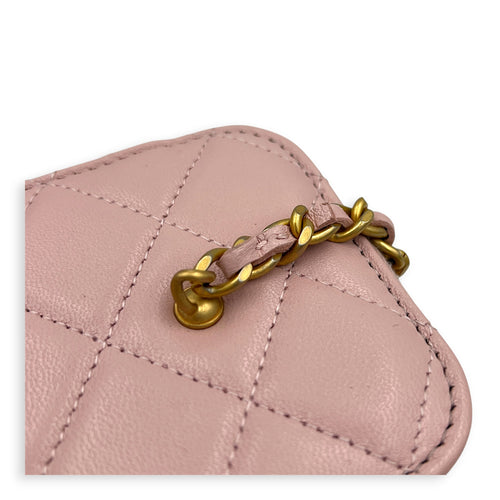 Pearl Crush  Vanity Bag Pink in Lambskin, Gold hardware