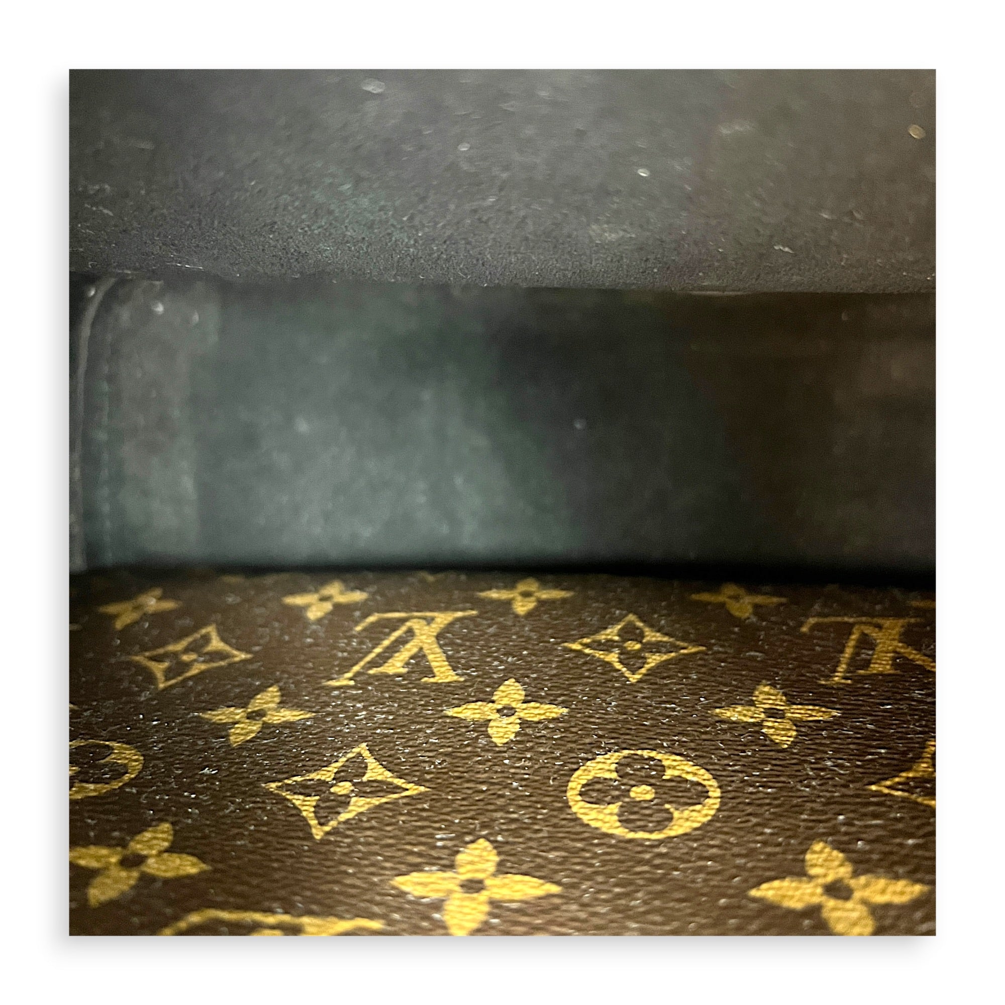 NeoNoe Bucket Bag MM Brown in Monogram Coated Canvas