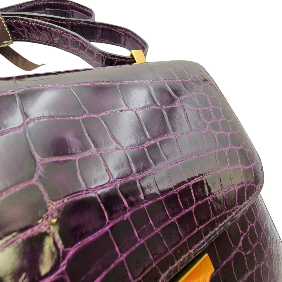 Constance 24 Amethyst in Shiny Alligator Gold hardware