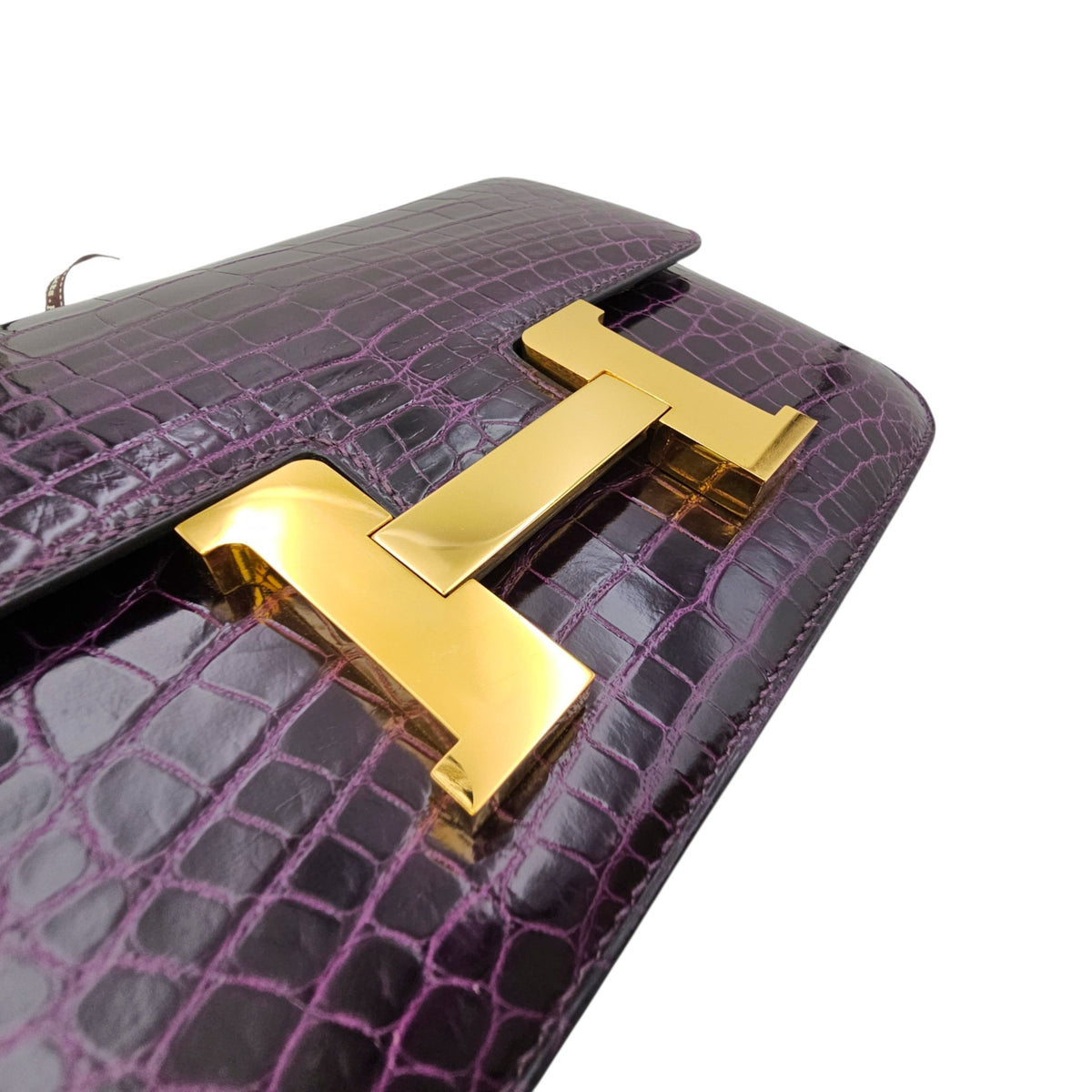 Constance 24 Amethyst in Shiny Alligator Gold hardware