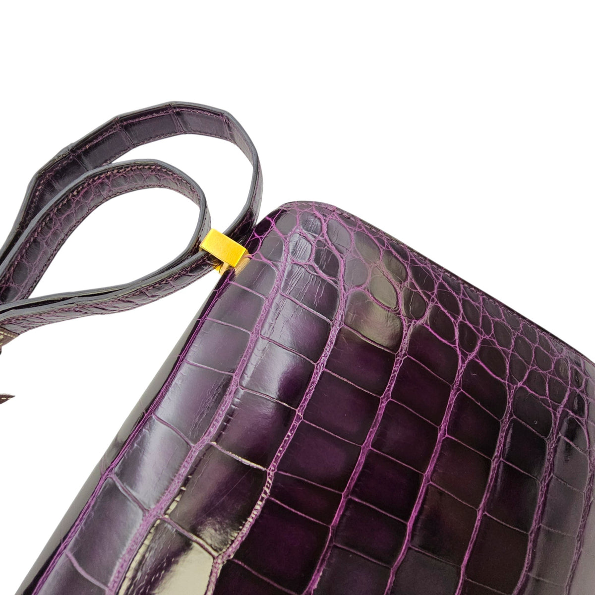 Constance 24 Amethyst in Shiny Alligator Gold hardware