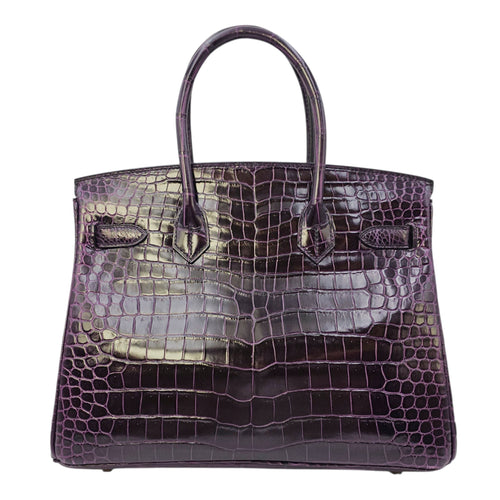 Birkin 30 Amethyst in Shiny Porosus Gold hardware