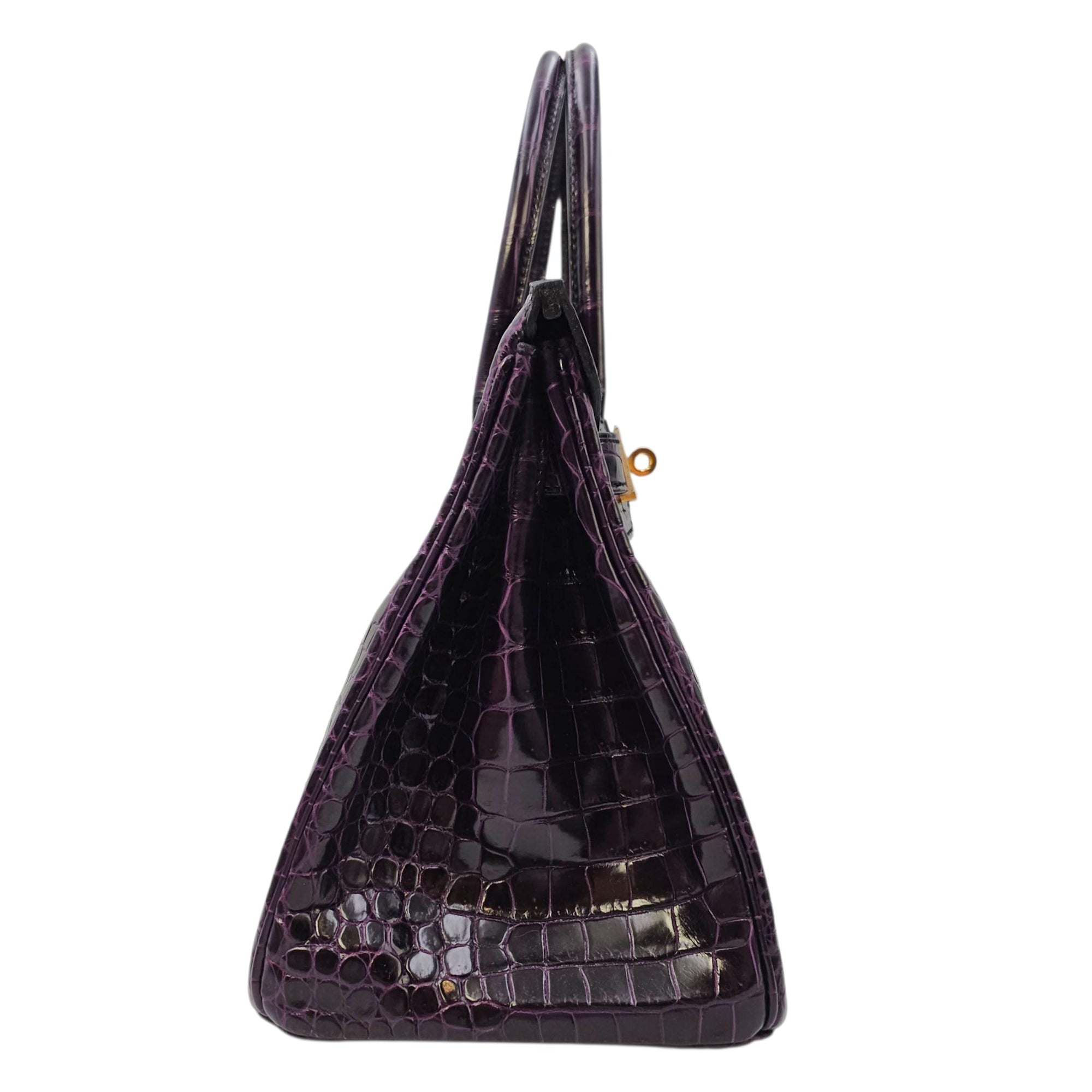 Birkin 30 Amethyst in Shiny Porosus Gold hardware