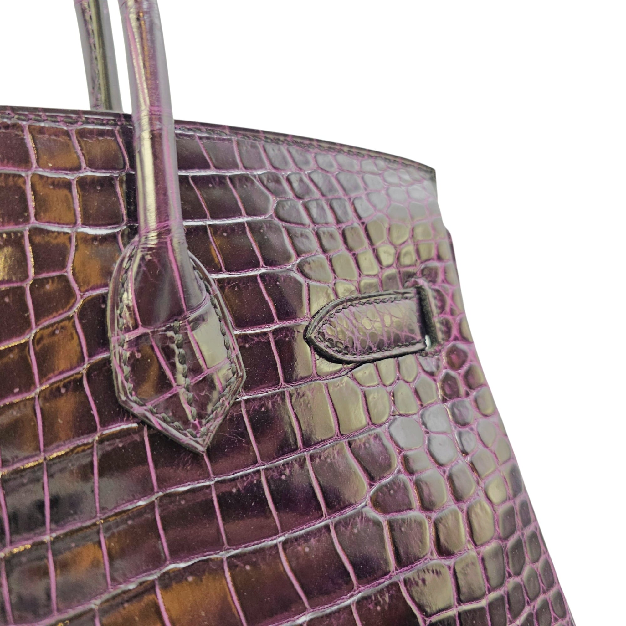 Birkin 30 Amethyst in Shiny Porosus Gold hardware