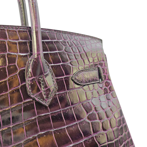 Birkin 30 Amethyst in Shiny Porosus Gold hardware