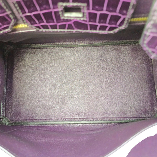 Birkin 30 Amethyst in Shiny Porosus Gold hardware