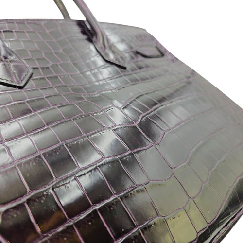 Birkin 30 Amethyst in Shiny Porosus Gold hardware