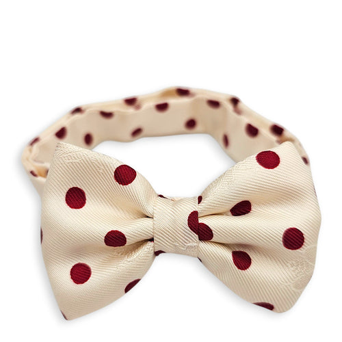 Noeud Papillion Bow Tie Burgundy dots Bow tie in Others Palladium hardware CL2512-17899 1