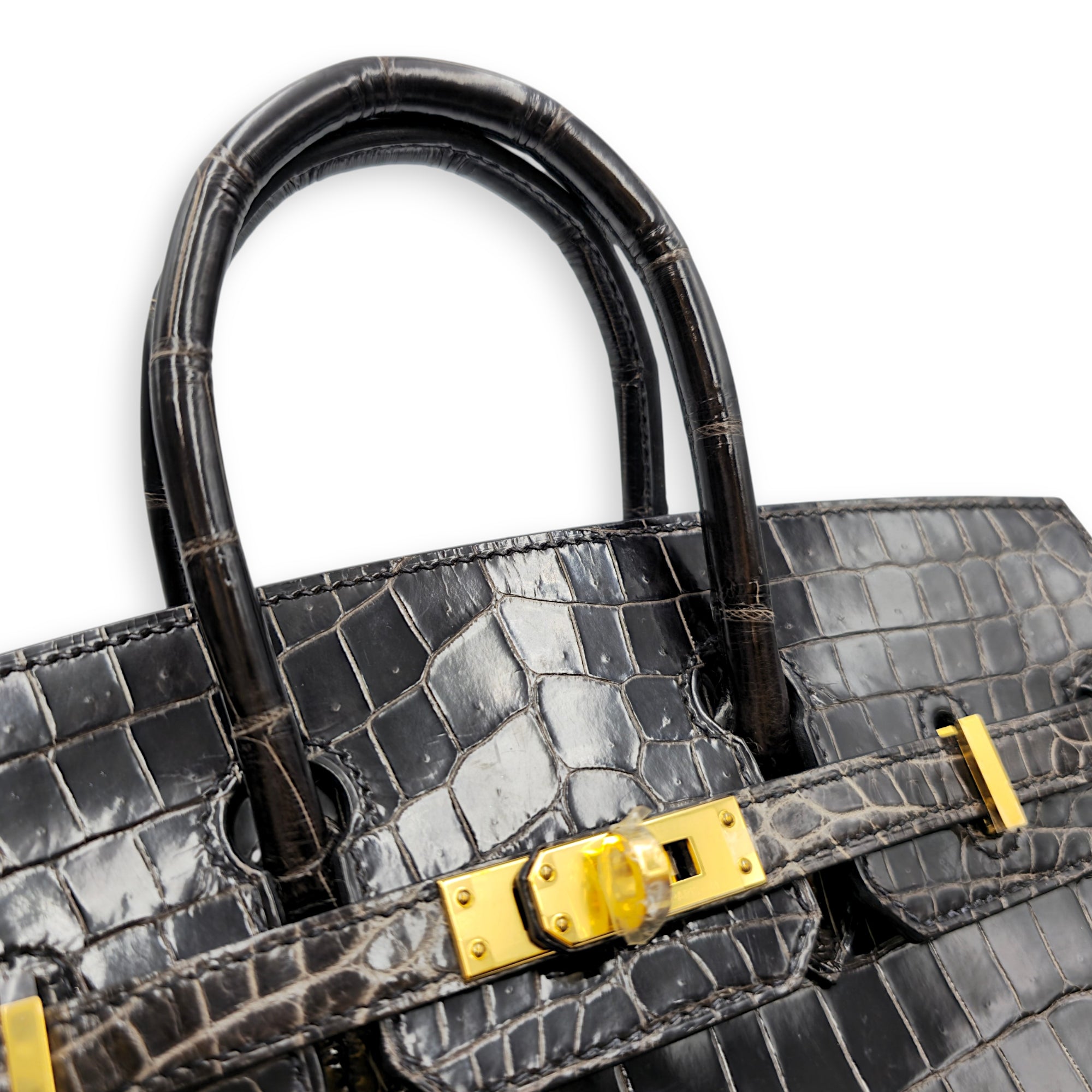 Birkin 25 Graphite in Shiny Niloticus Gold hardware CL2512-17977 10