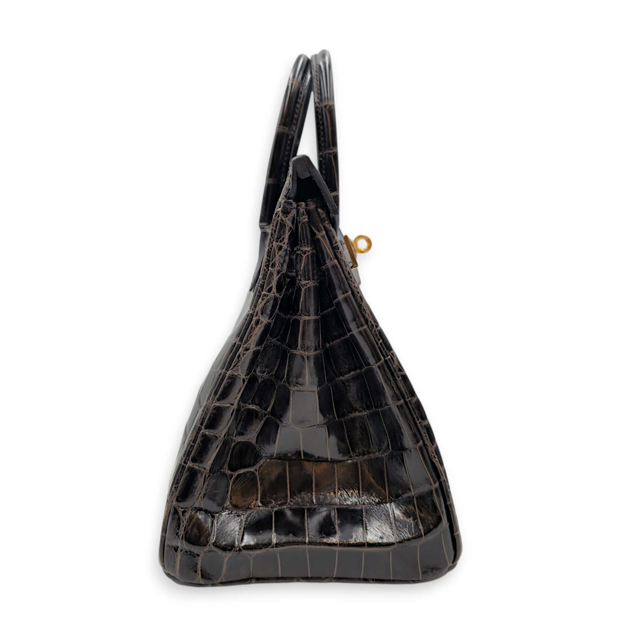 Birkin 25 Graphite in Shiny Niloticus Gold hardware CL2512-17977 3