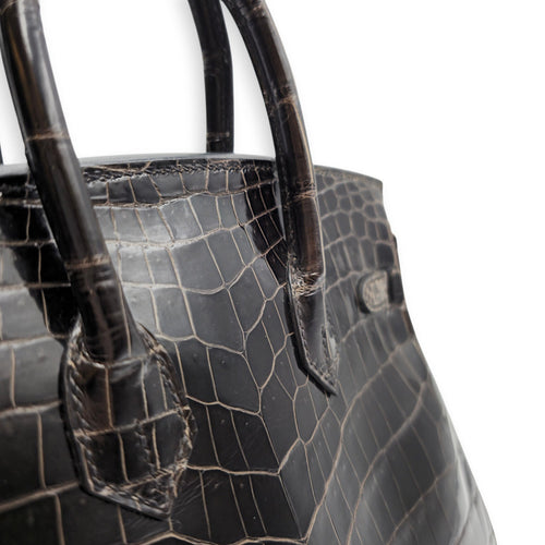 Birkin 25 Graphite in Shiny Niloticus Gold hardware CL2512-17977 8