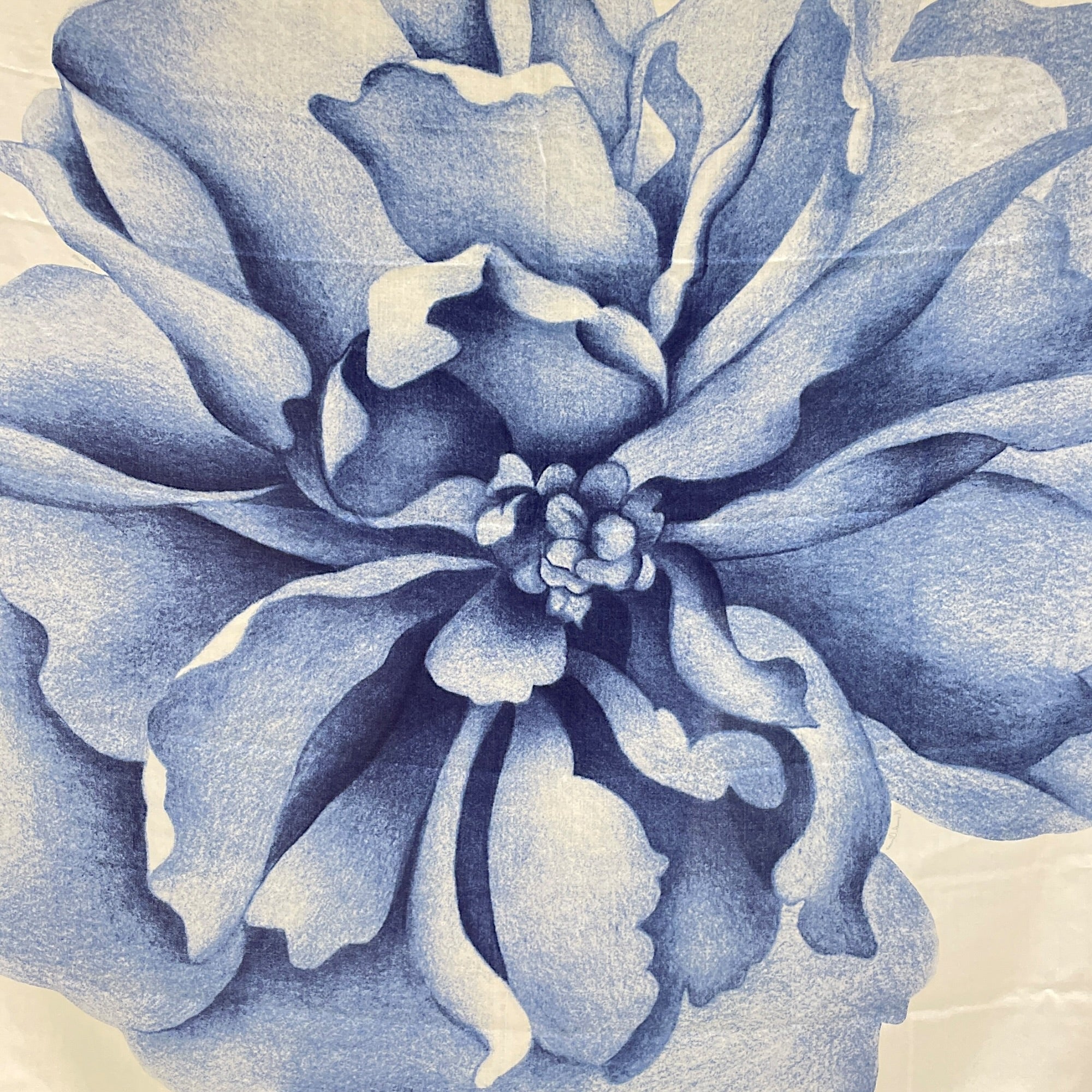 Une Rose Pour Alma 140 Blue/Creme Shawl CL2512-18163 2
