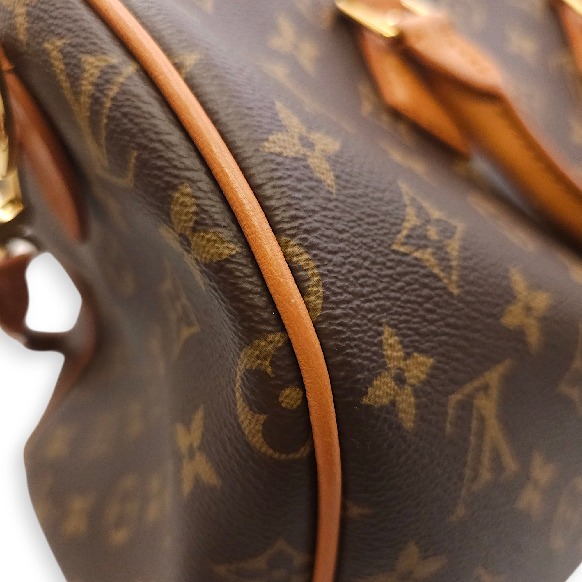 Speedy Soft 30 cm Crafty with Ostrich Leather Brown Shoulder Bag in Ostrich Gold hardware CL2512-18244 11