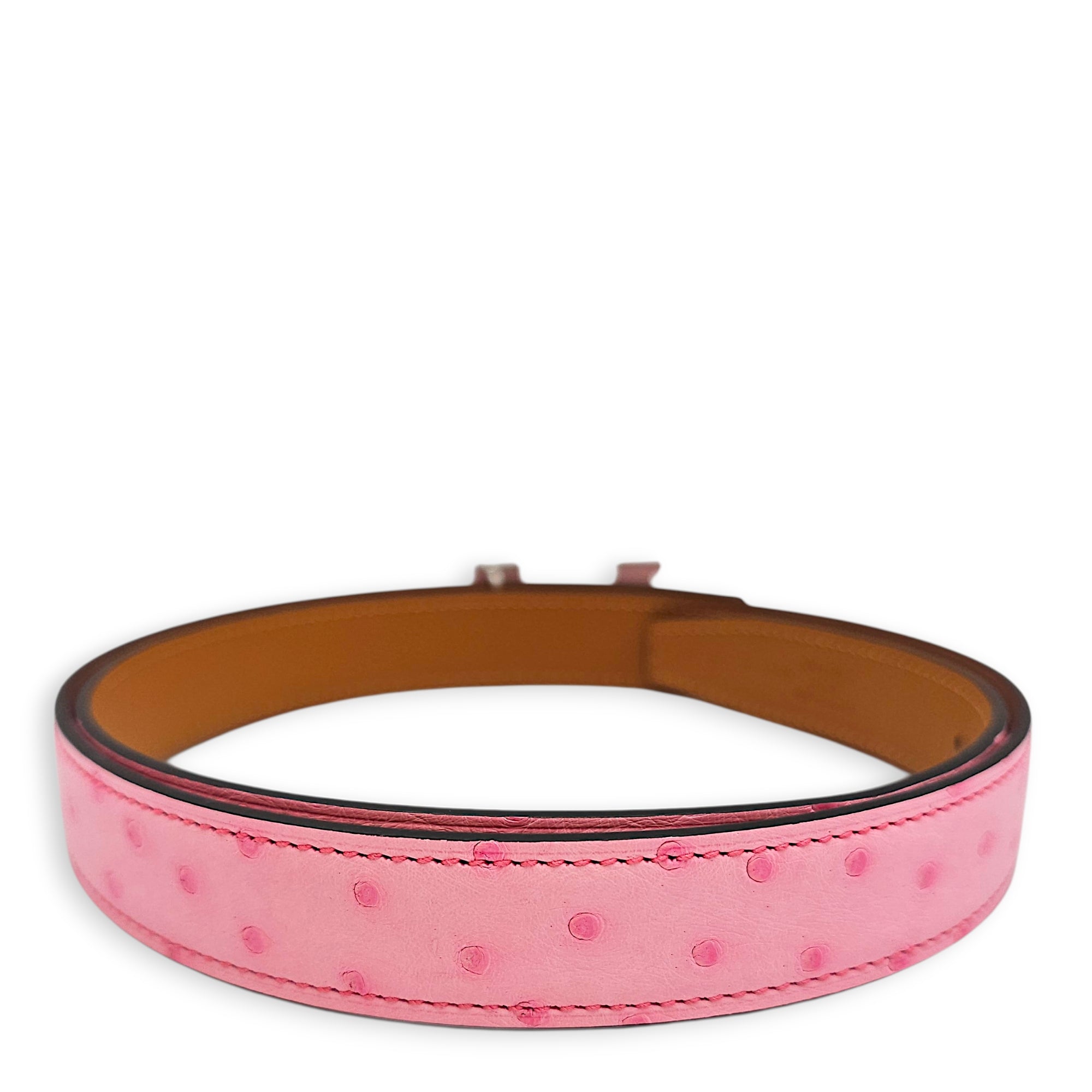 Mini Constance Belt kit. 24mm by 85cm Bubblegum Belt in Ostrich Palladium hardware CL2601-18602 2