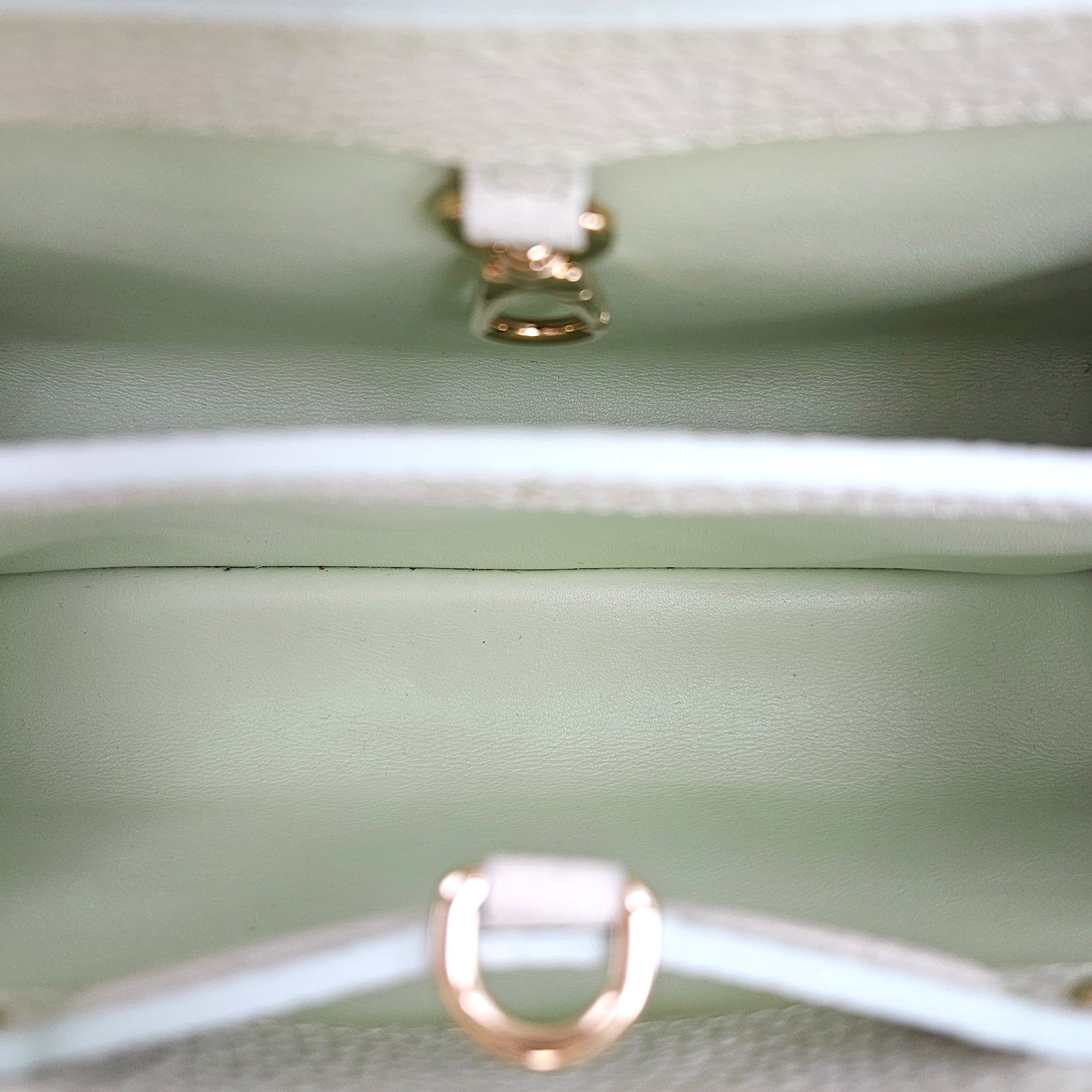 Capucines BB Giant Monogram Flowers  26 Green Top Handle Bag Gold hardware CL2601-18802 9