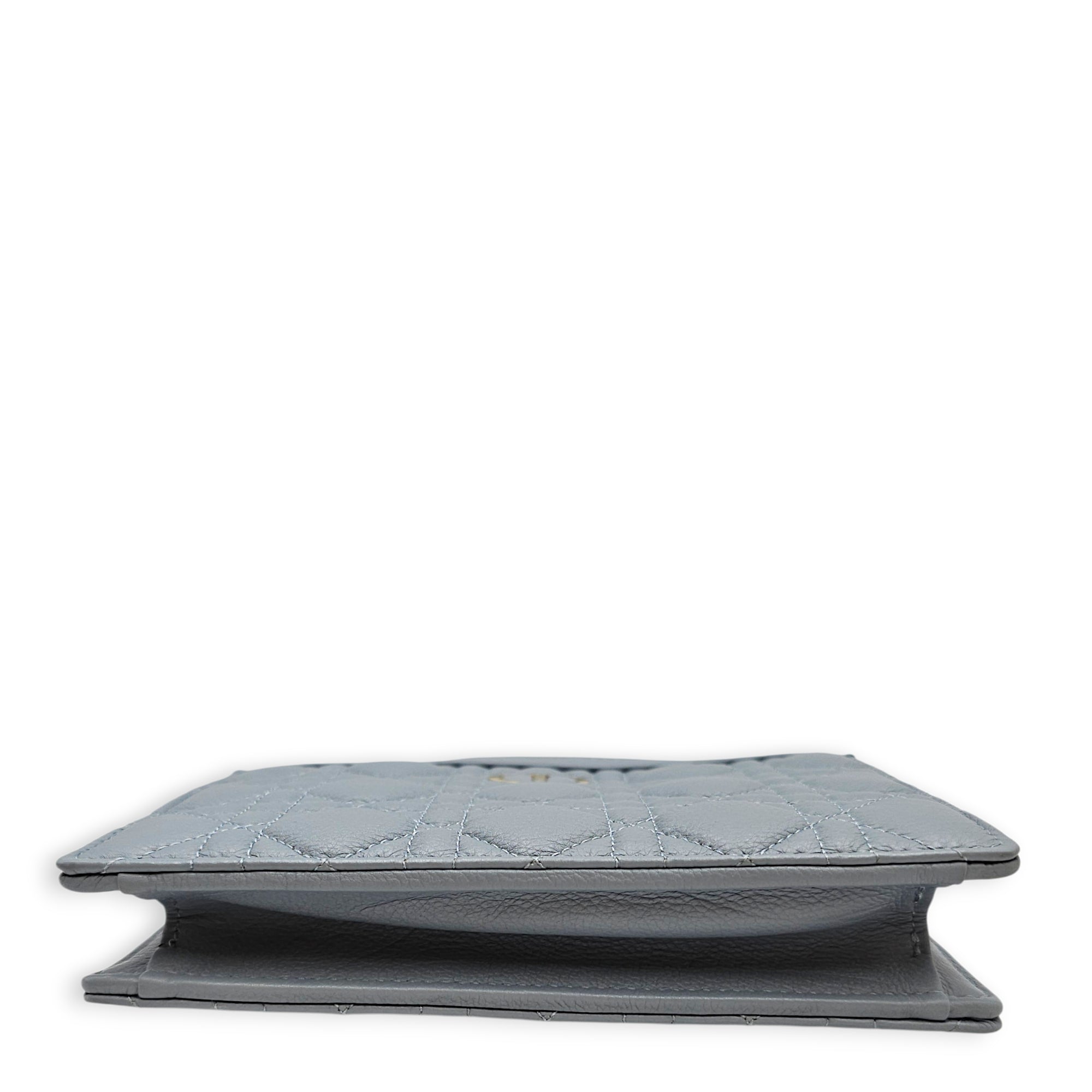 Caro Zipped Pouch with Chain  18 Blue Crossbody Bag in Lambskin Gold hardware CL2601-18884 6