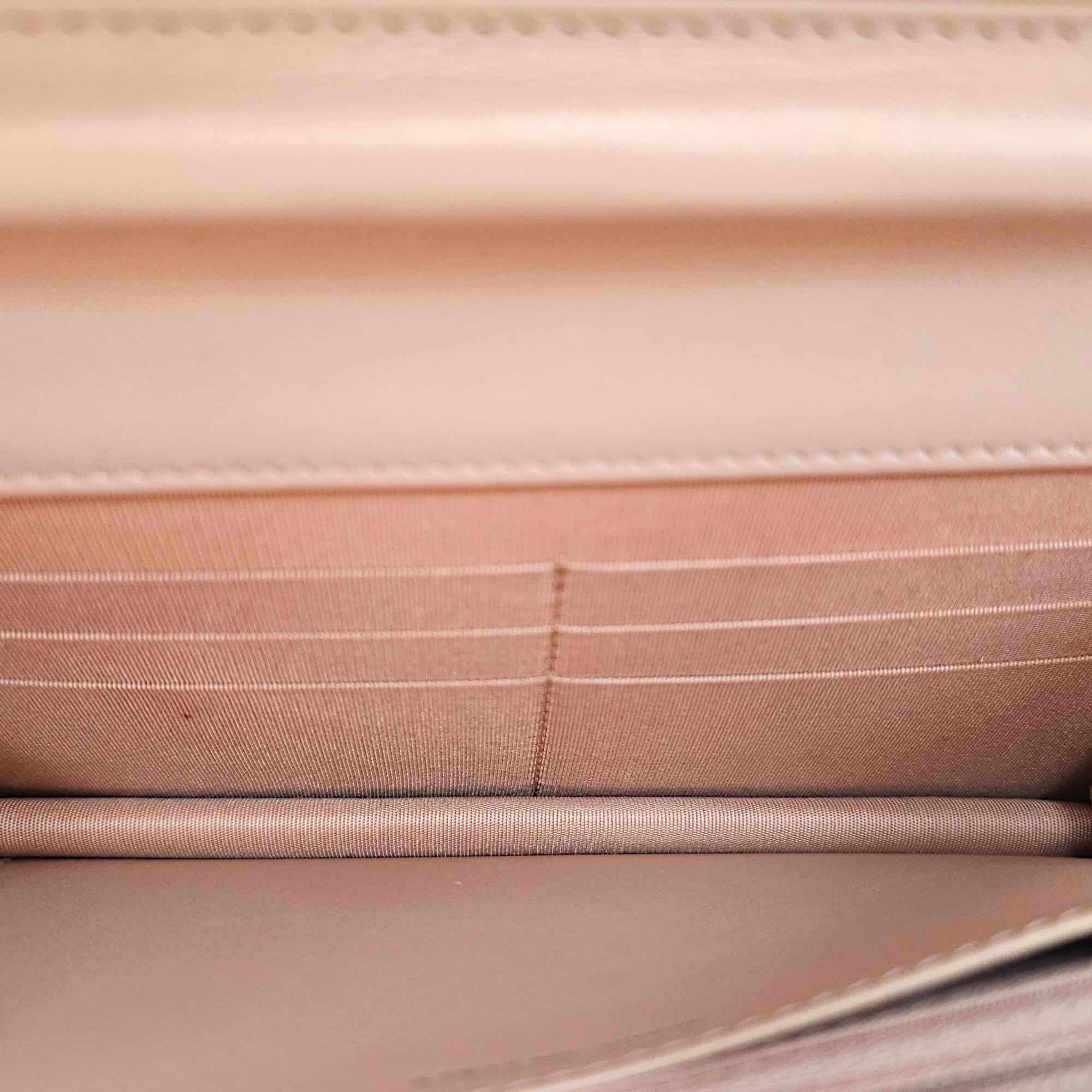 Mademoiselle WOC in Iridescent Pink Pink Crossbody Bag in Caviar Leather Silver hardware CL2601-18963 10
