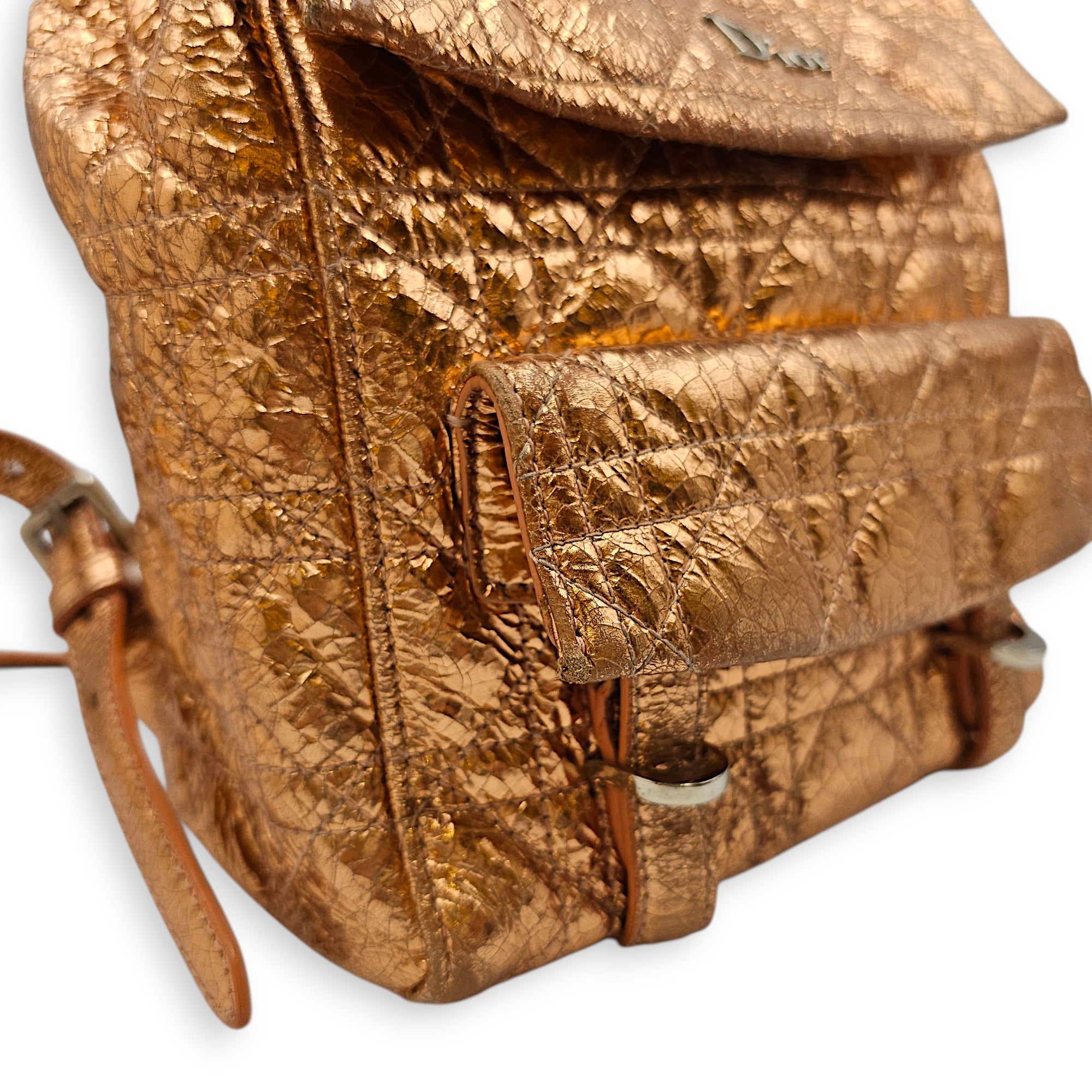 Quilted Dior Stardust Backpack Gold Backpack in Metallic Silver hardware CL2601-19096 10