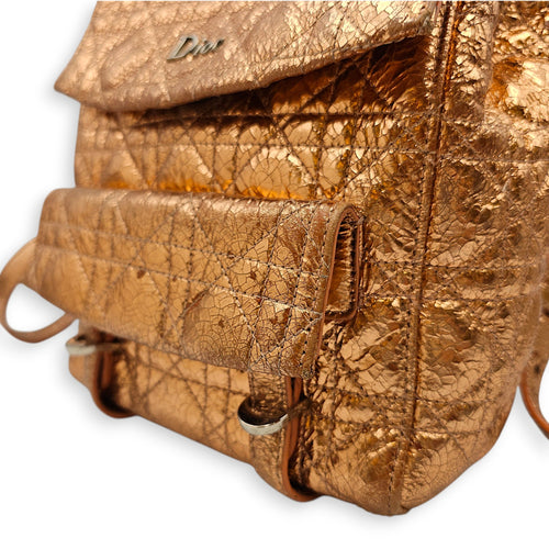 Quilted Dior Stardust Backpack Gold Backpack in Metallic Silver hardware CL2601-19096 11