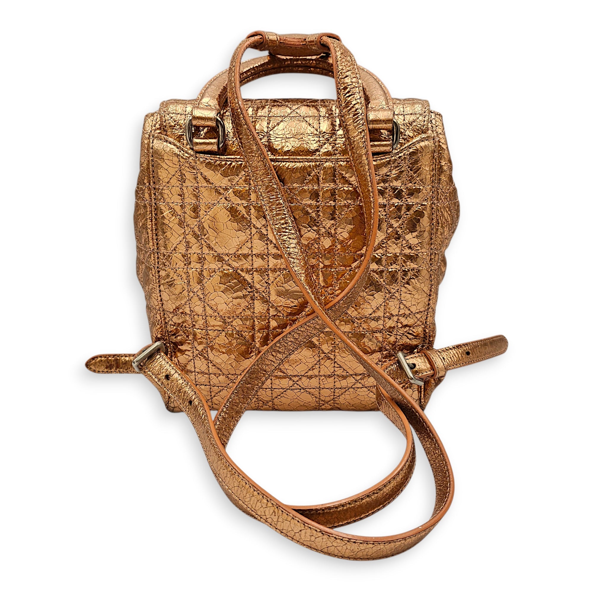 Quilted Dior Stardust Backpack Gold Backpack in Metallic Silver hardware CL2601-19096 2