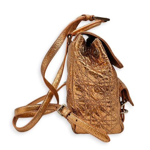 Quilted Dior Stardust Backpack Gold Backpack in Metallic Silver hardware CL2601-19096 4
