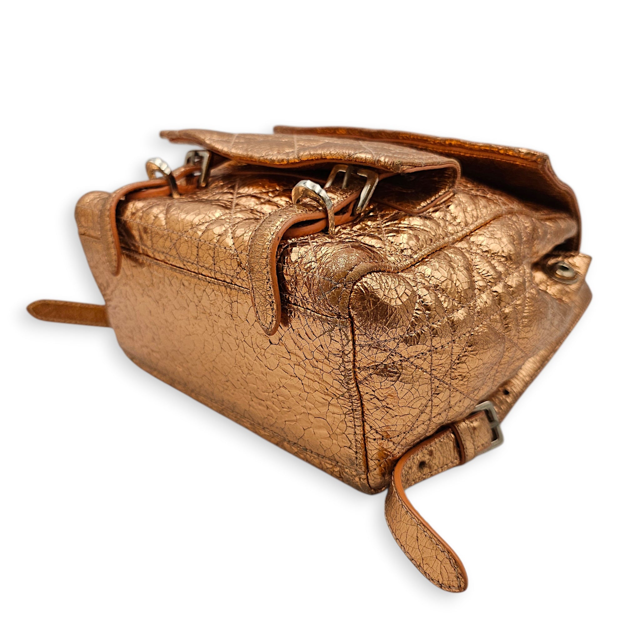 Quilted Dior Stardust Backpack Gold Backpack in Metallic Silver hardware CL2601-19096 7