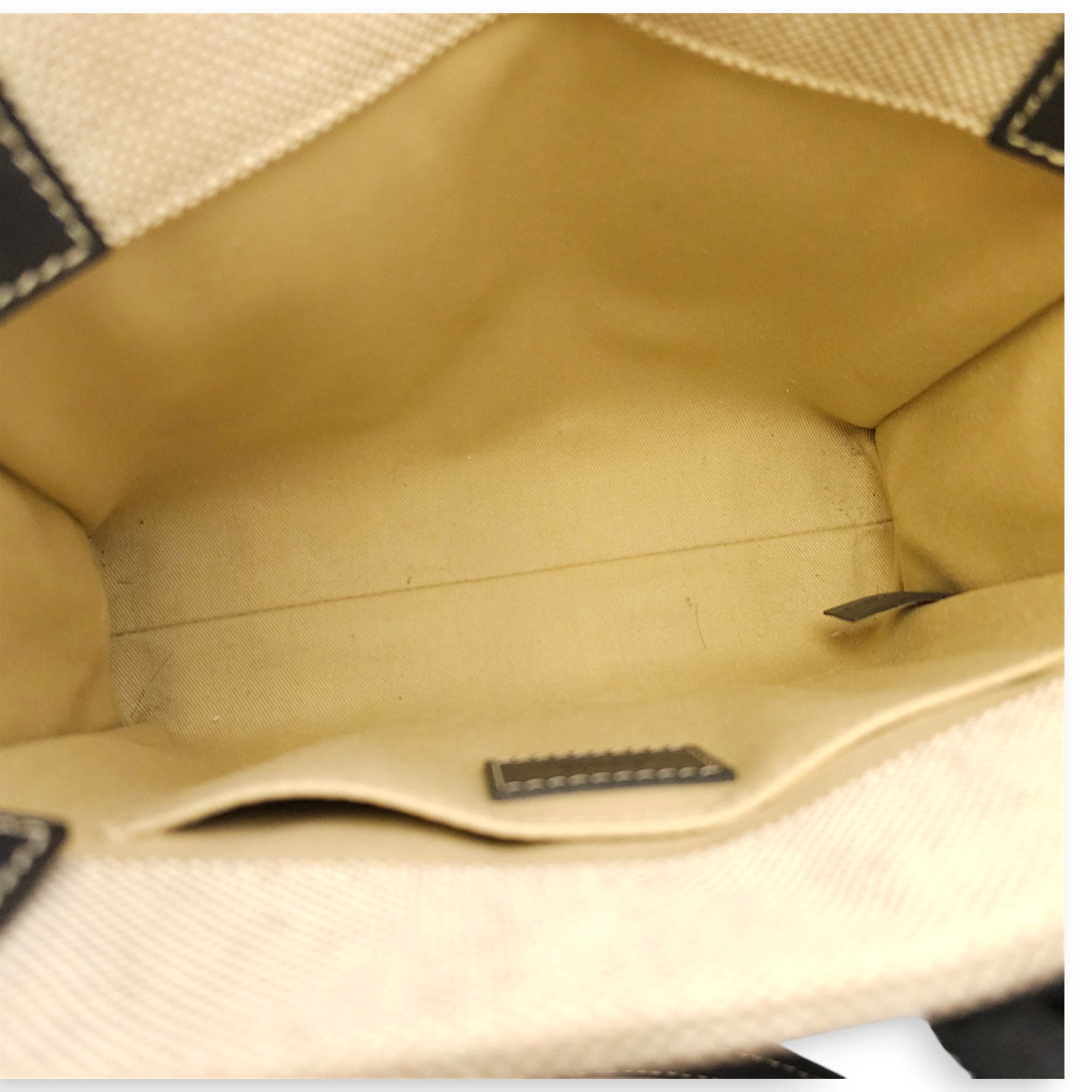 Small Woody Tote 24 Beige Crossbody Bag Silver hardware