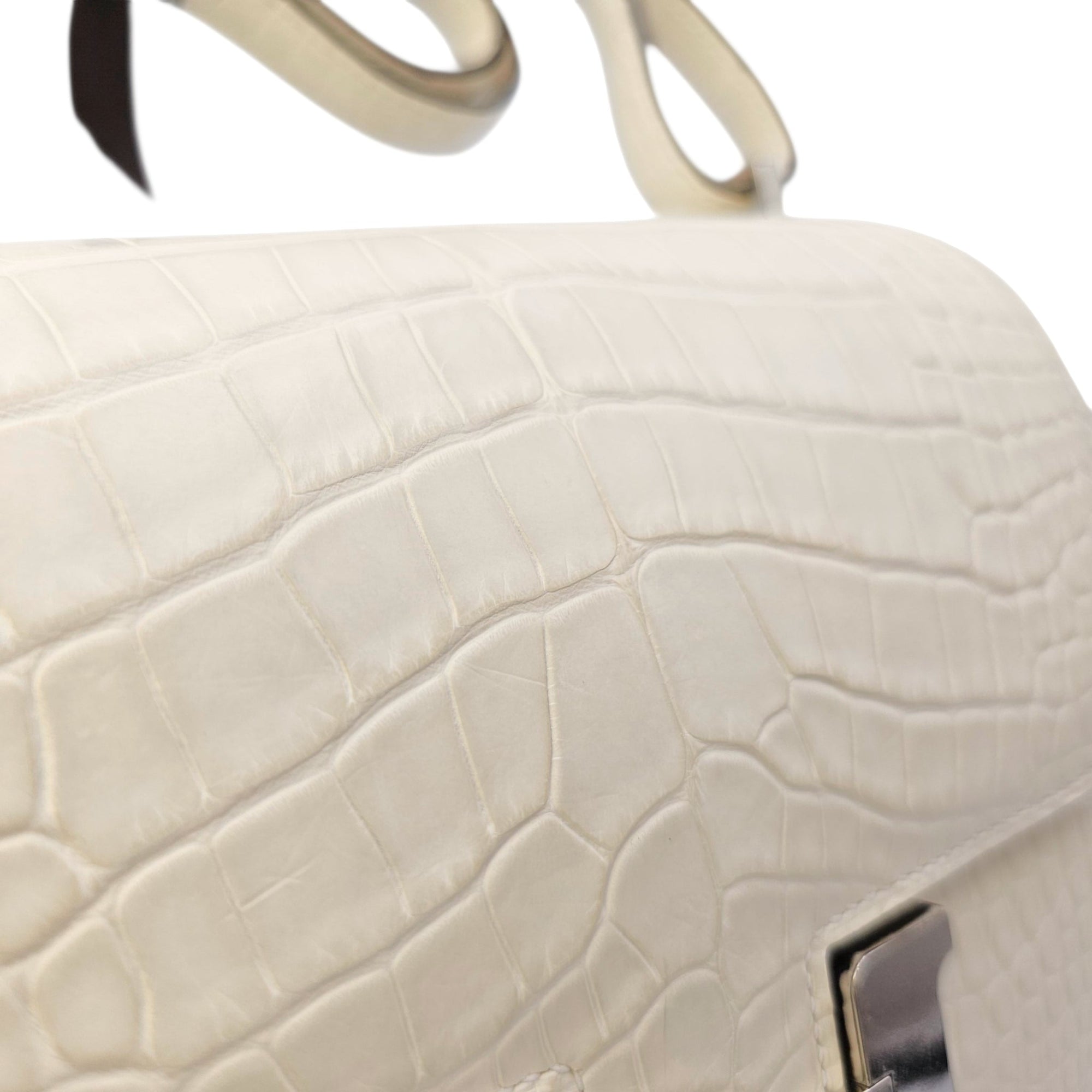 Constance 18 Nata in Matte Alligator Palladium hardware CL2602-19423 13