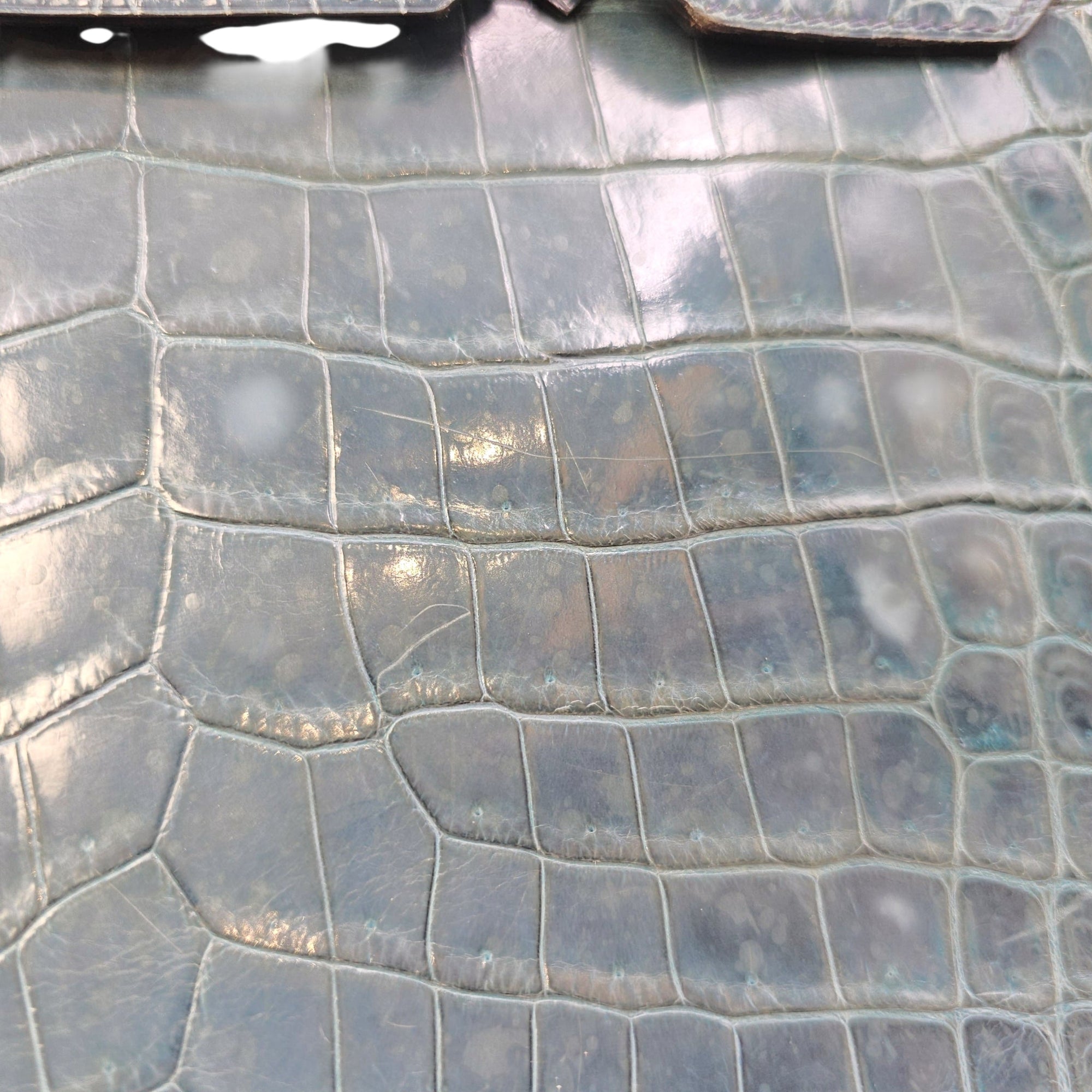 Birkin 30 Blue in Shiny Niloticus Palladium hardware CL2603-20020 12