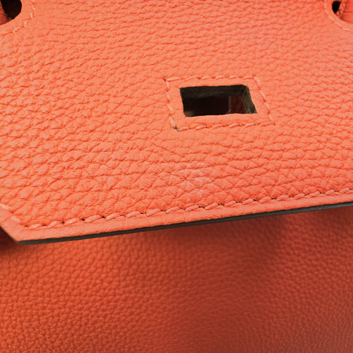 Birkin 30 Capucine in Togo Palladium hardware CL2603-20207 14