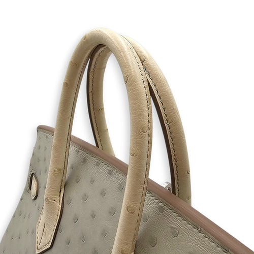 HSS Birkin 25 Gris Perle/Craie in Ostrich Brushed Palladium hardware CL2603-20285 7