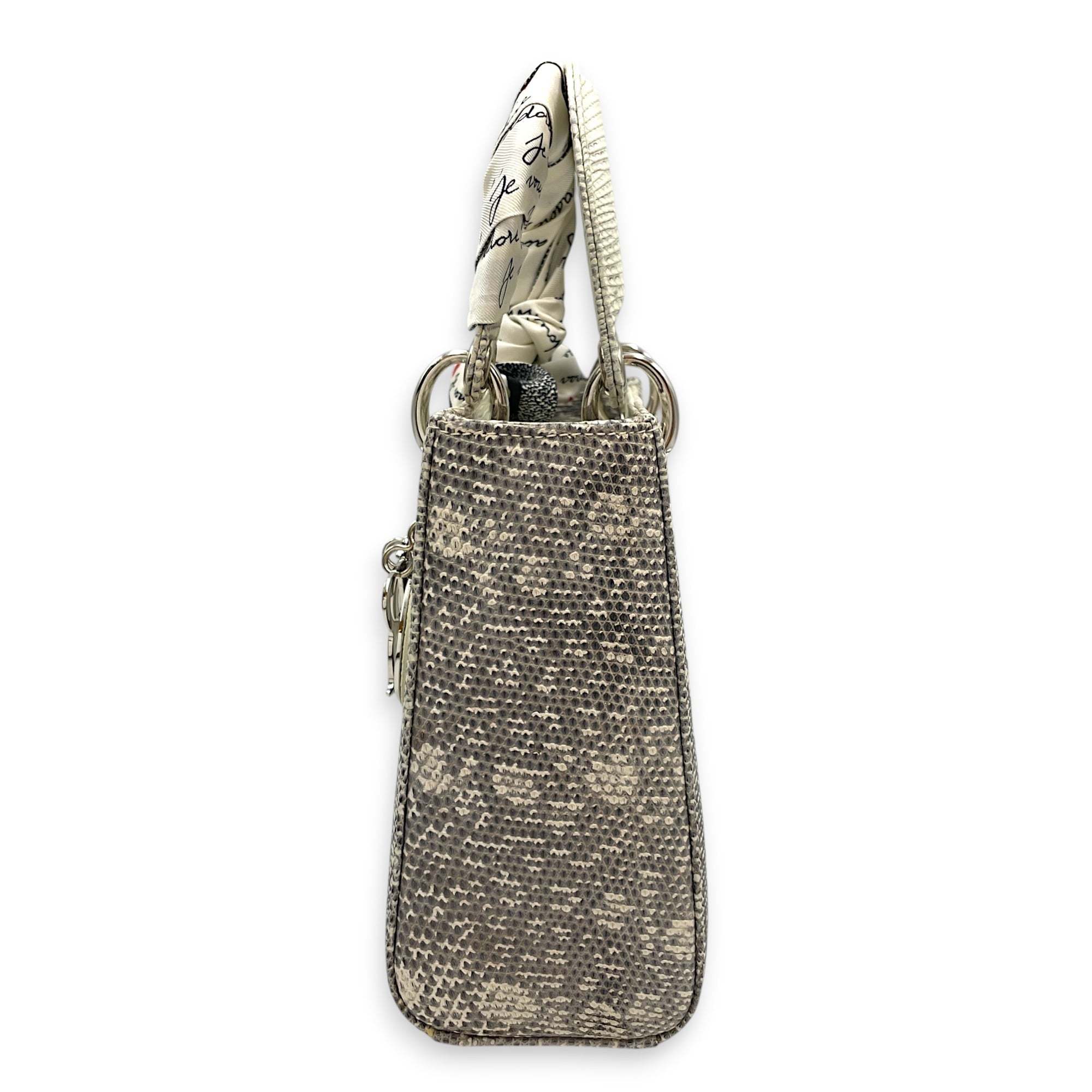 Lady Dior White Top Handle Bag in Lizard Varanus Salvator Silver hardware CL2603-20445 4