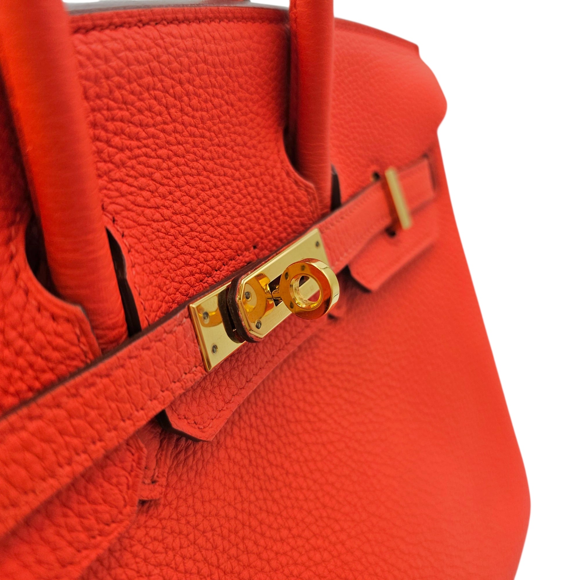 Birkin 25 Capucine in Togo Gold hardware