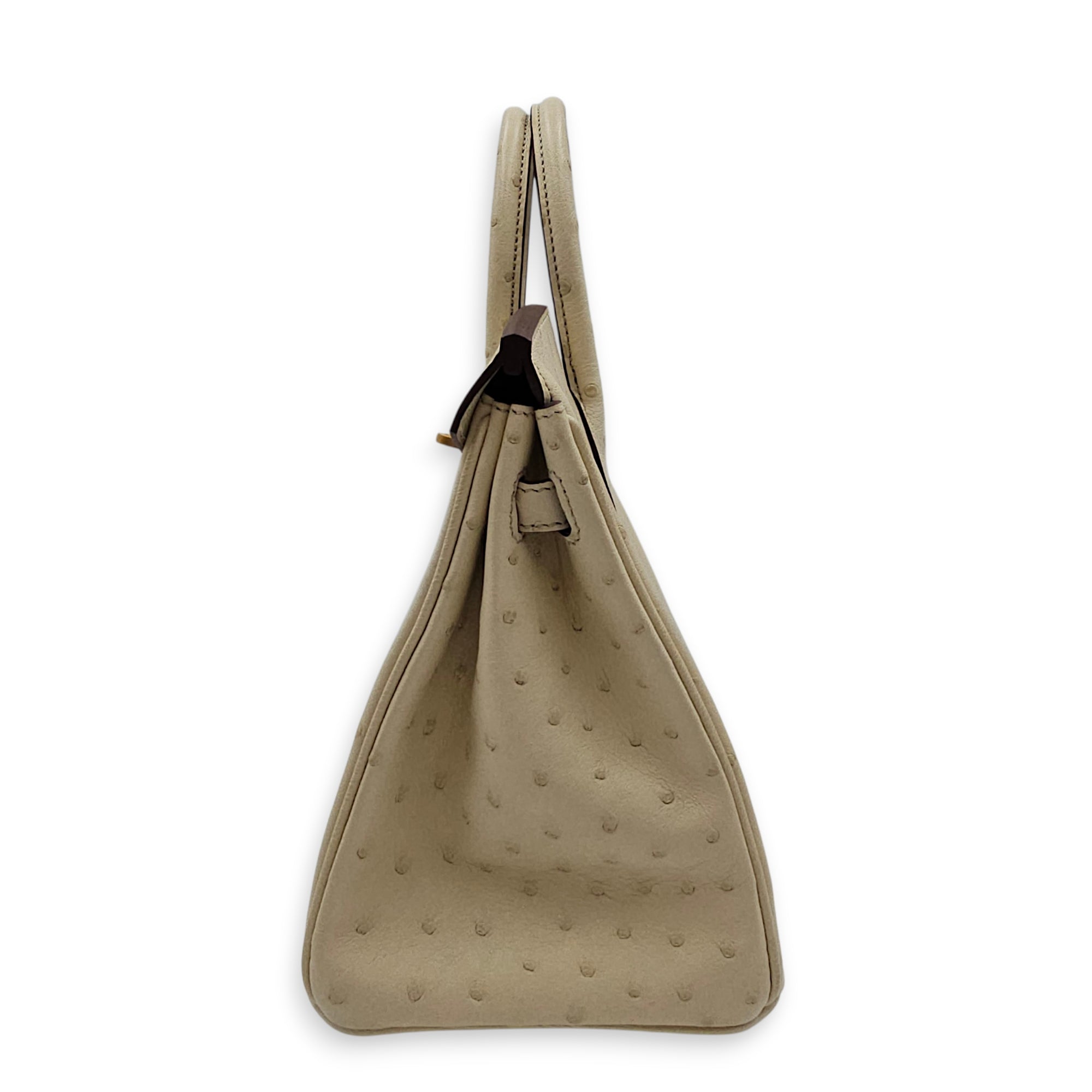 HSS Birkin 25 Beton/Vert Vertigo in Ostrich Brushed Gold hardware