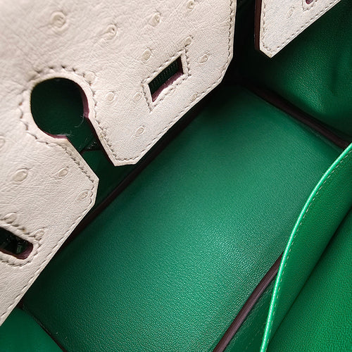 HSS Birkin 25 Beton/Vert Vertigo in Ostrich Brushed Gold hardware