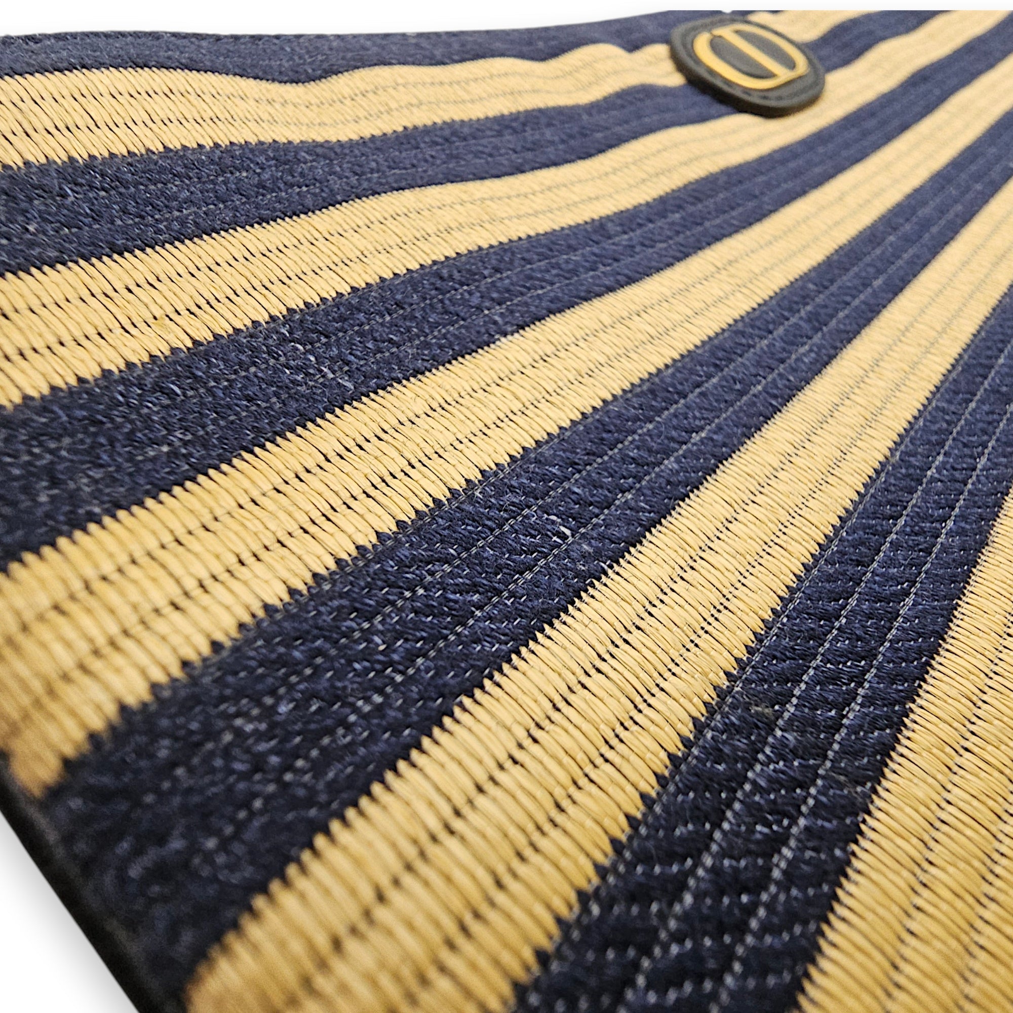 Caro Large Blue/Beige Daily Pouch in Natural Raffia Gold hardware CL2604-20644 10