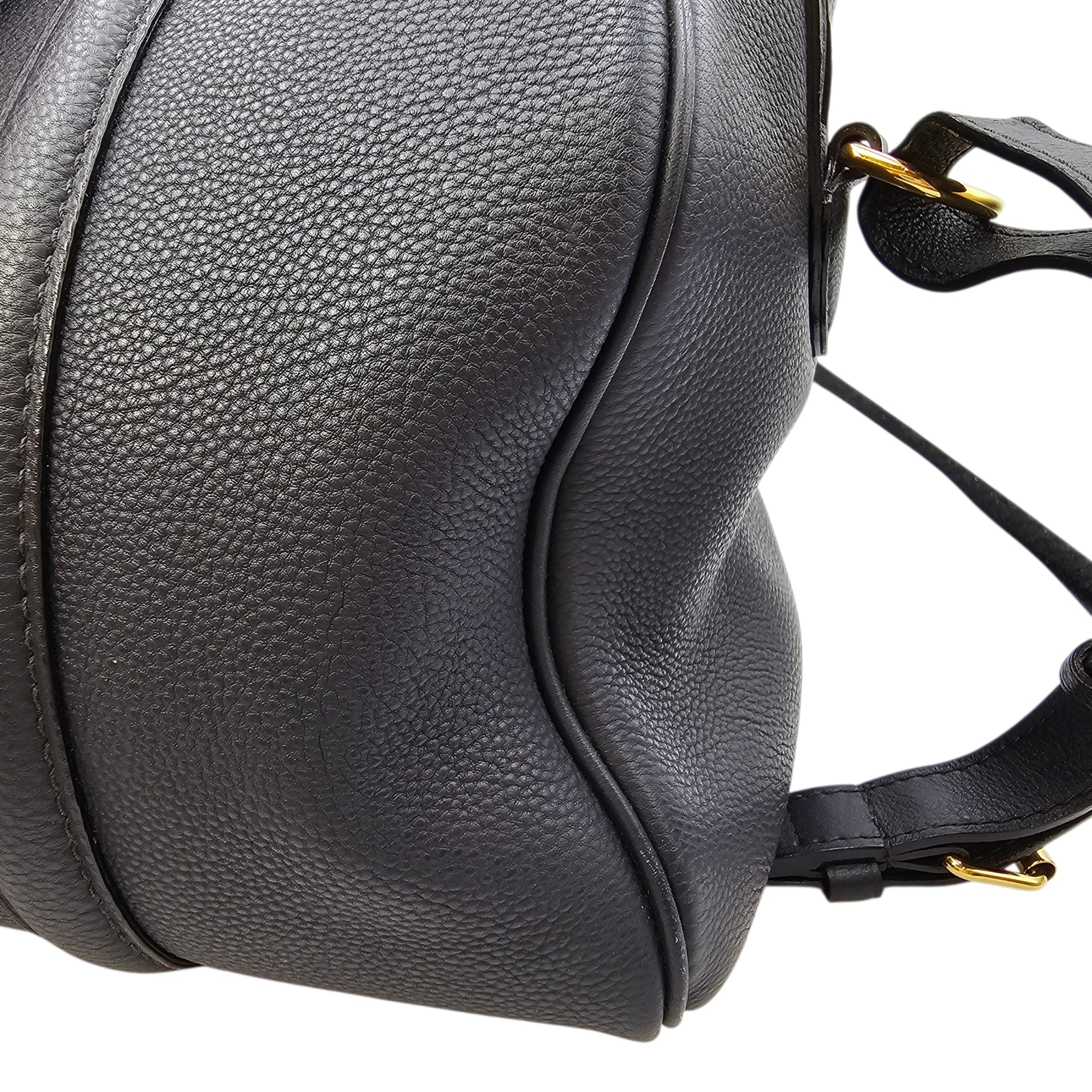 Sofia Coppola Speedy Size 30cm Blue Shoulder Bag in Calfskin Gold hardware