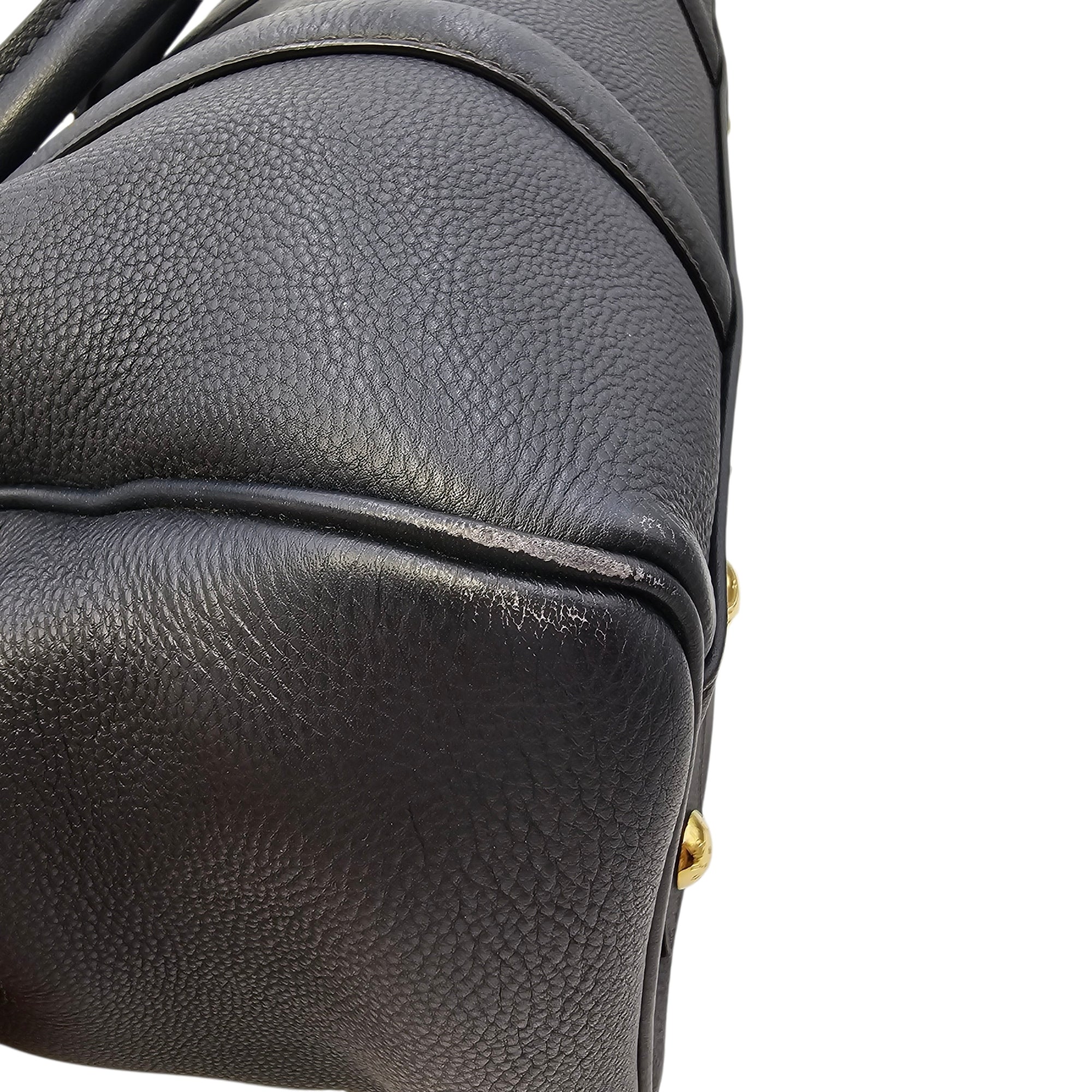 Sofia Coppola Speedy Size 30cm Blue Shoulder Bag in Calfskin Gold hardware