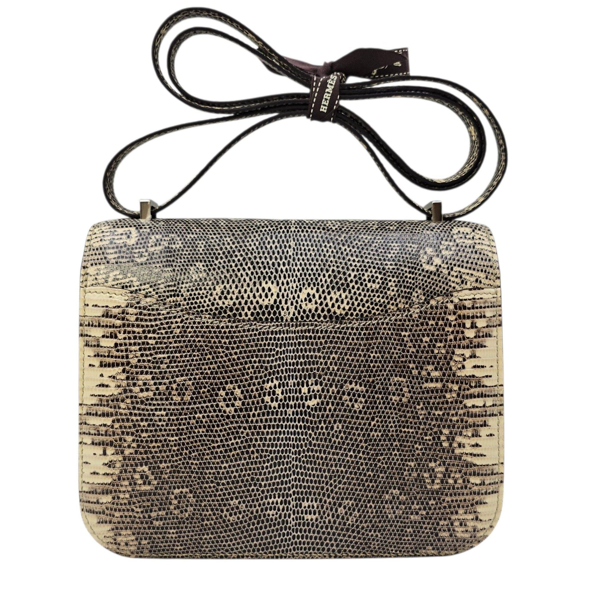 Constance 18 Ombre in Lizard Varanus Salvator Palladium hardware CL2604-20797 2