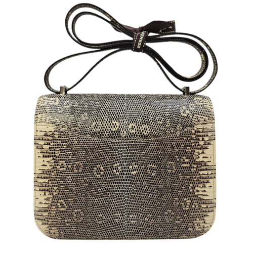 Constance 18 Ombre in Lizard Varanus Salvator Palladium hardware CL2604-20797 2