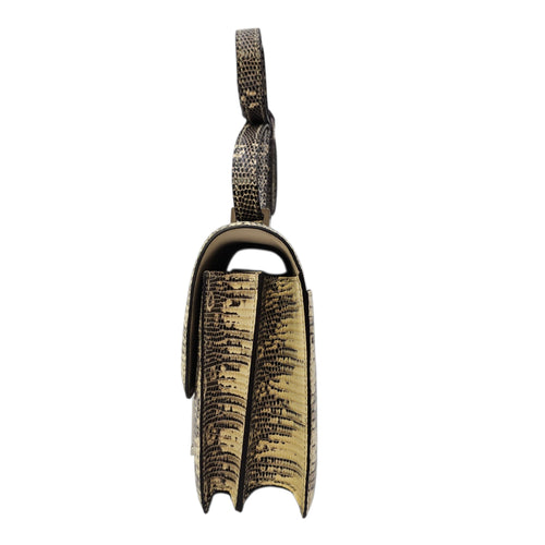 Constance 18 Ombre in Lizard Varanus Salvator Palladium hardware CL2604-20797 4