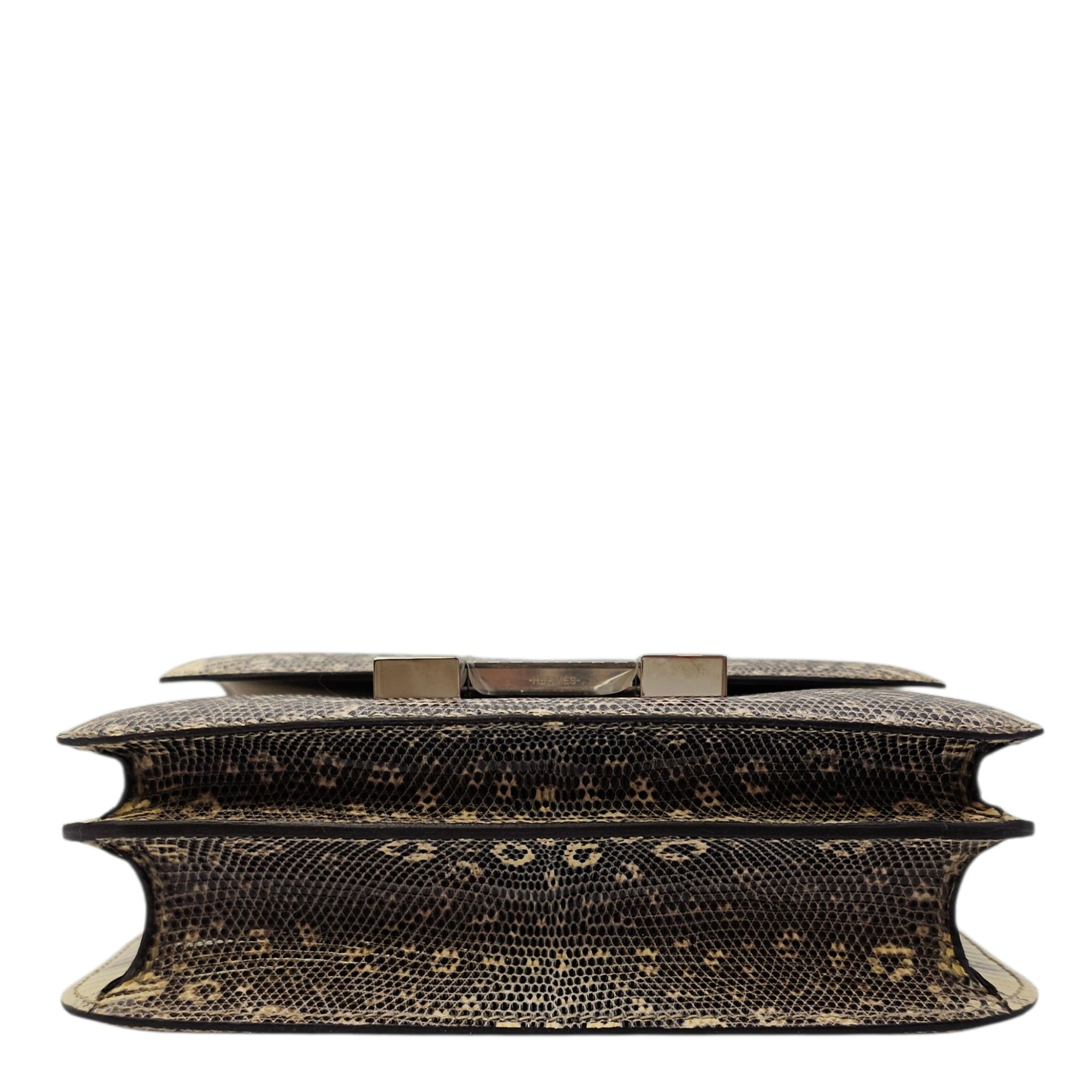 Constance 18 Ombre in Lizard Varanus Salvator Palladium hardware CL2604-20797 5