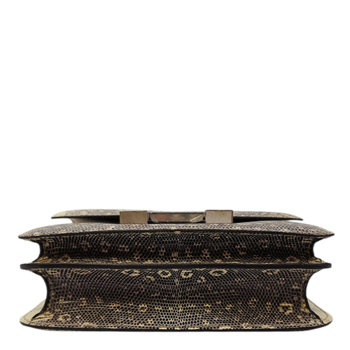 Constance 18 Ombre in Lizard Varanus Salvator Palladium hardware CL2604-20797 5