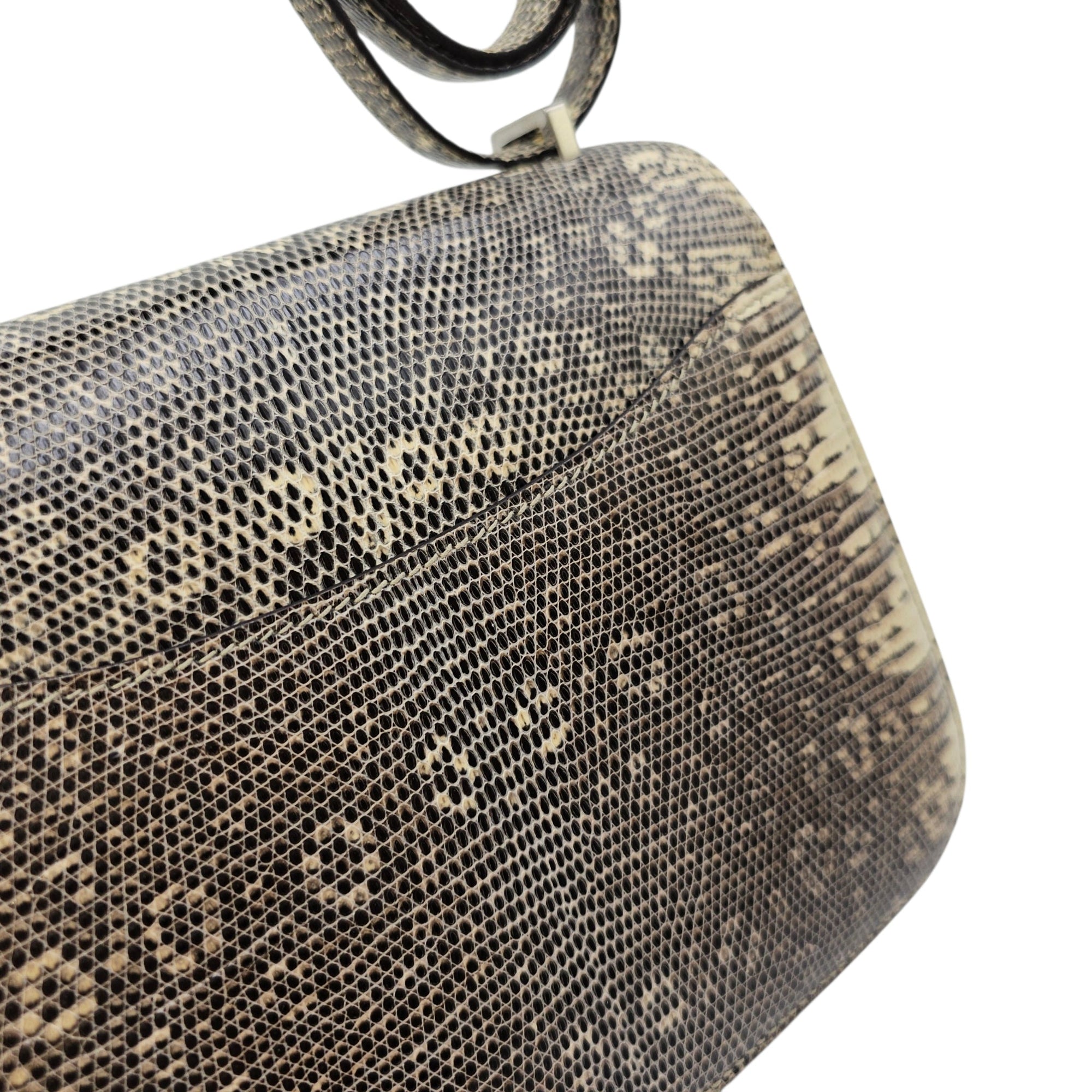 Constance 18 Ombre in Lizard Varanus Salvator Palladium hardware CL2604-20797 7