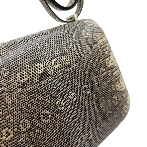 Constance 18 Ombre in Lizard Varanus Salvator Palladium hardware CL2604-20797 7