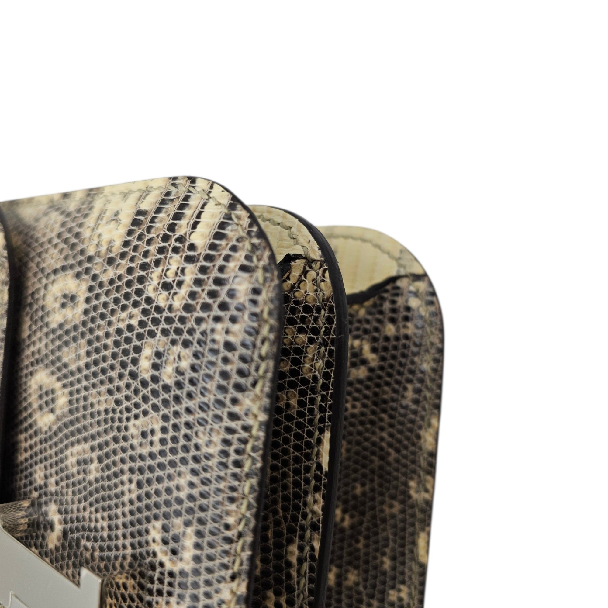 Constance 18 Ombre in Lizard Varanus Salvator Palladium hardware CL2604-20797 8