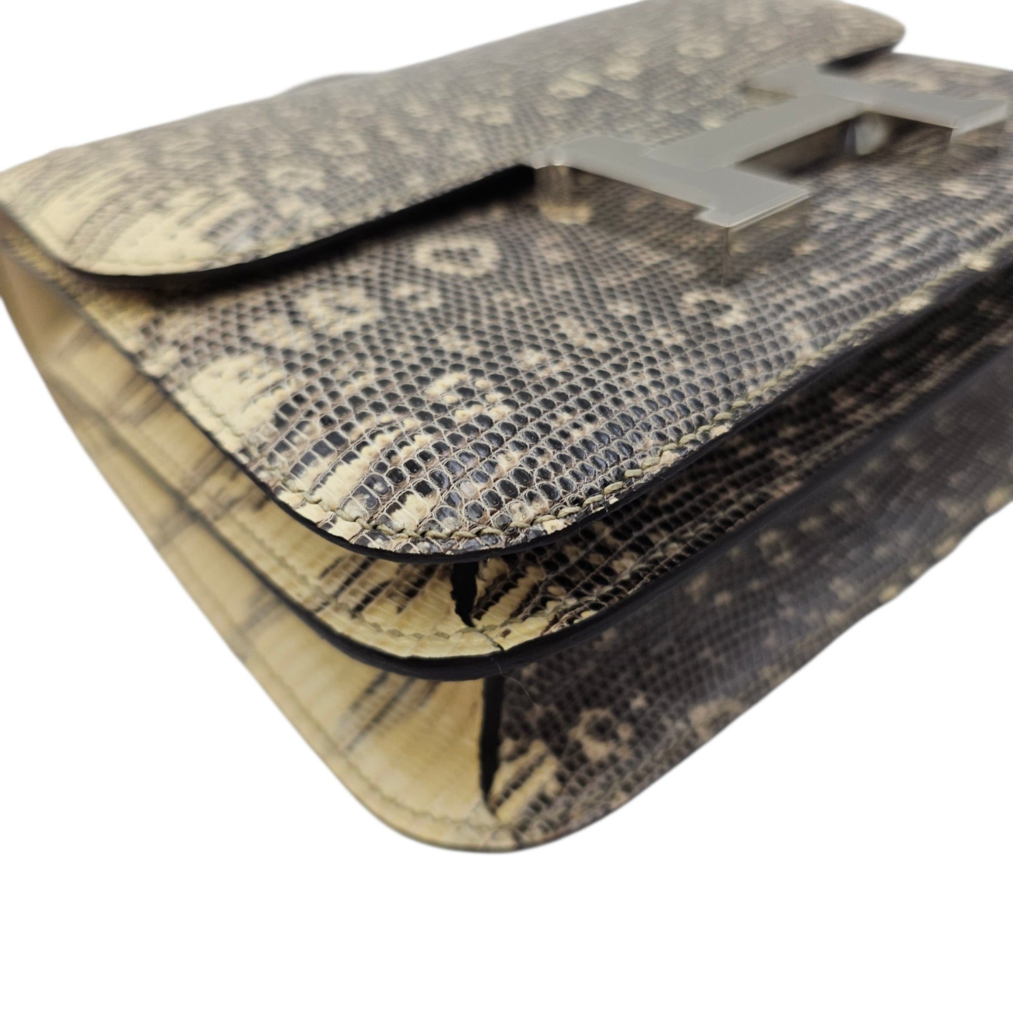 Constance 18 Ombre in Lizard Varanus Salvator Palladium hardware CL2604-20797 9