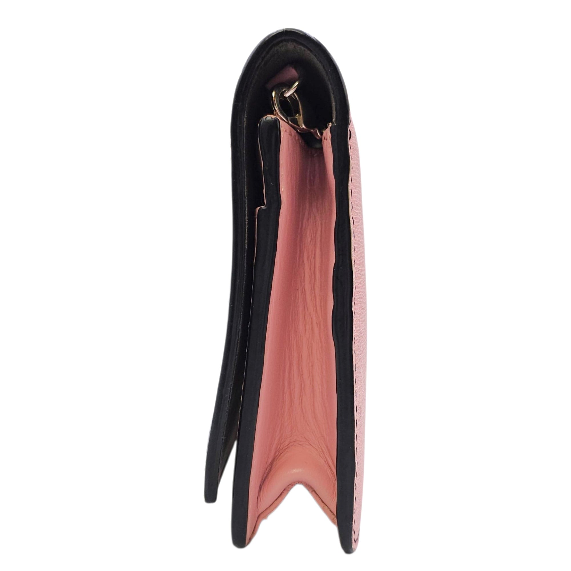 Monster WOC Pink Crossbody Bag in Calfskin Silver hardware CL2604-20897 4